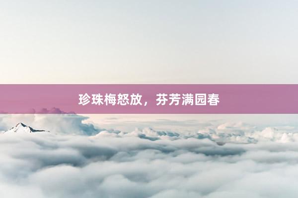 珍珠梅怒放，芬芳满园春