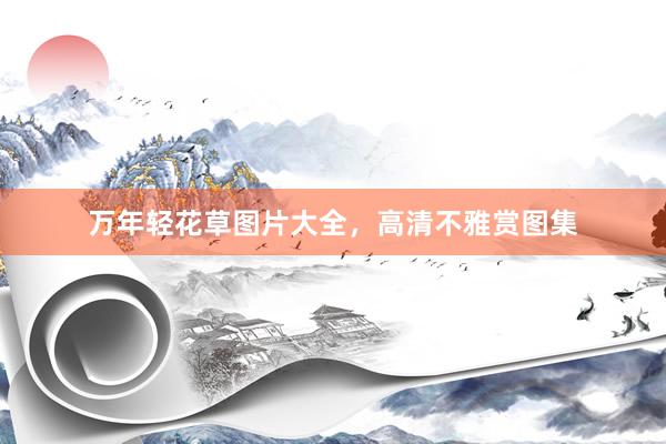 万年轻花草图片大全，高清不雅赏图集