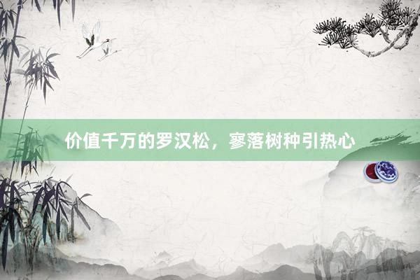 价值千万的罗汉松，寥落树种引热心